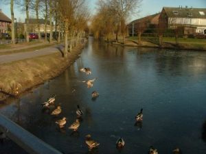 De sloot die de grens vormt tussen de Hondsberg en de Overlaet